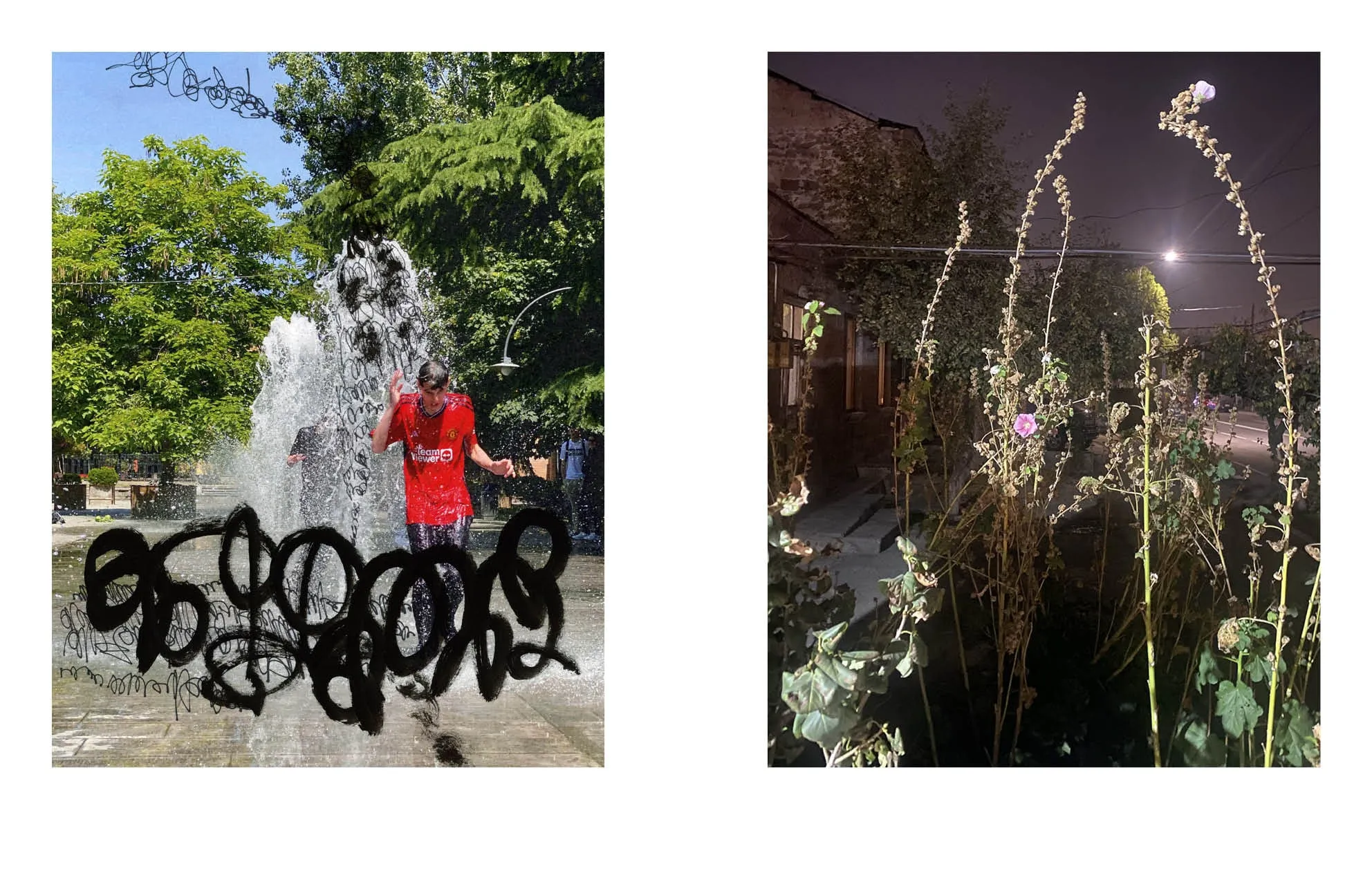 Book spread with a boy in a red shirt in a fountain, scribbled over in black, and a night view of tall weeds