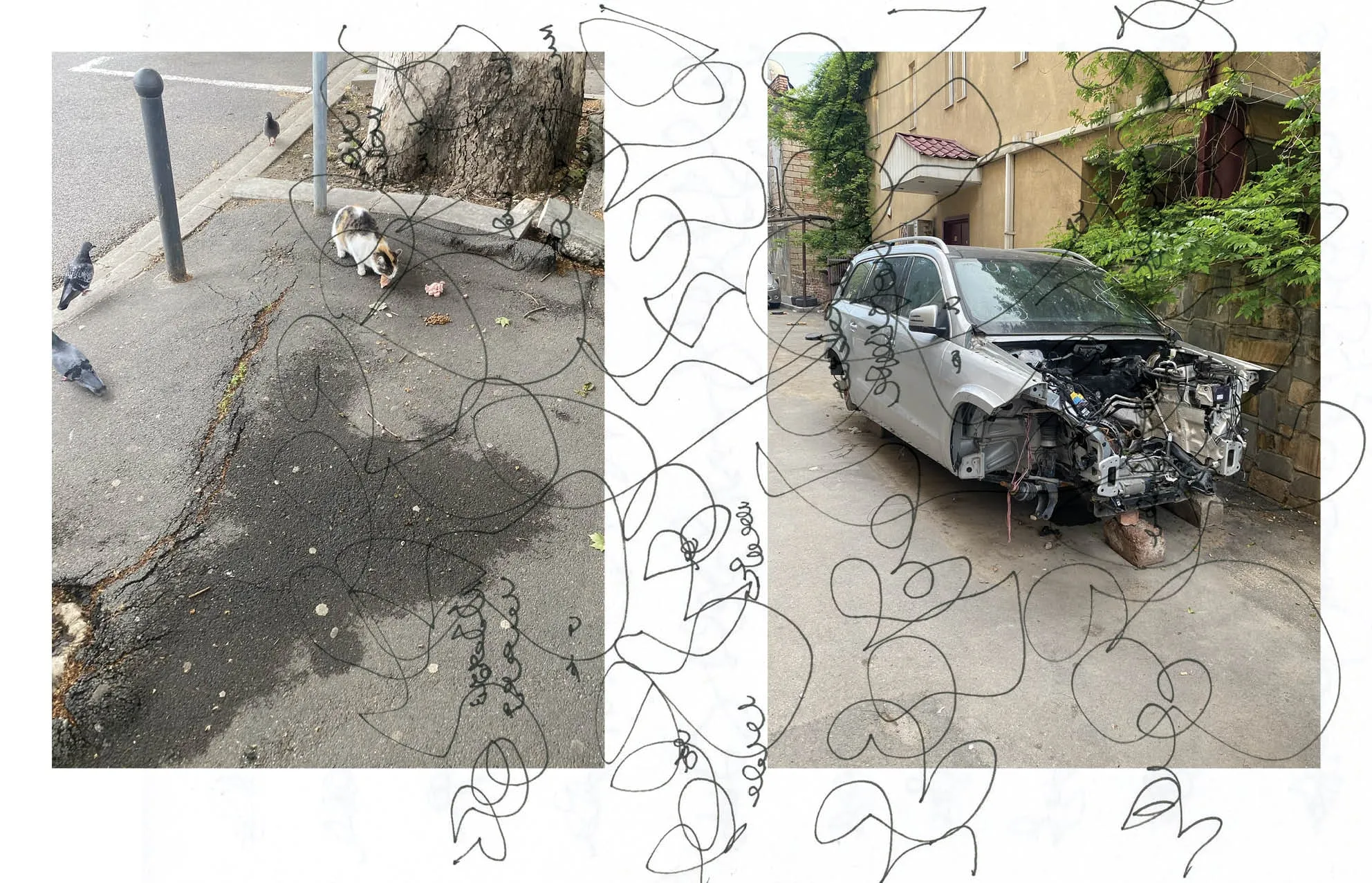 Spread with a cat and pigeons on cracked asphalt and a wrecked silver car, overlaid with fine looping ink lines