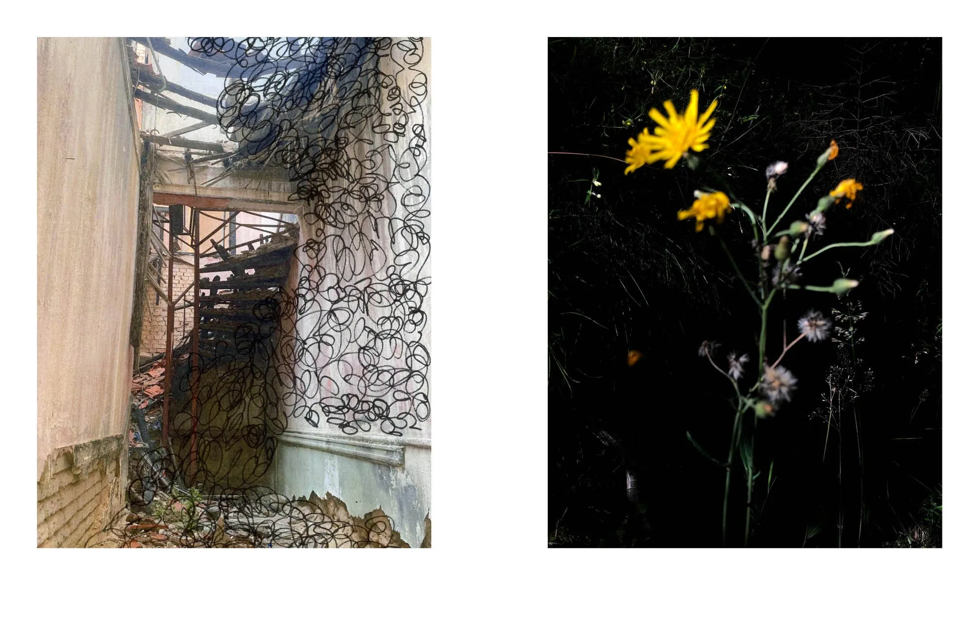 Spread with a ruined stairwell covered in black scribbles, and a yellow wildflower against a dark background