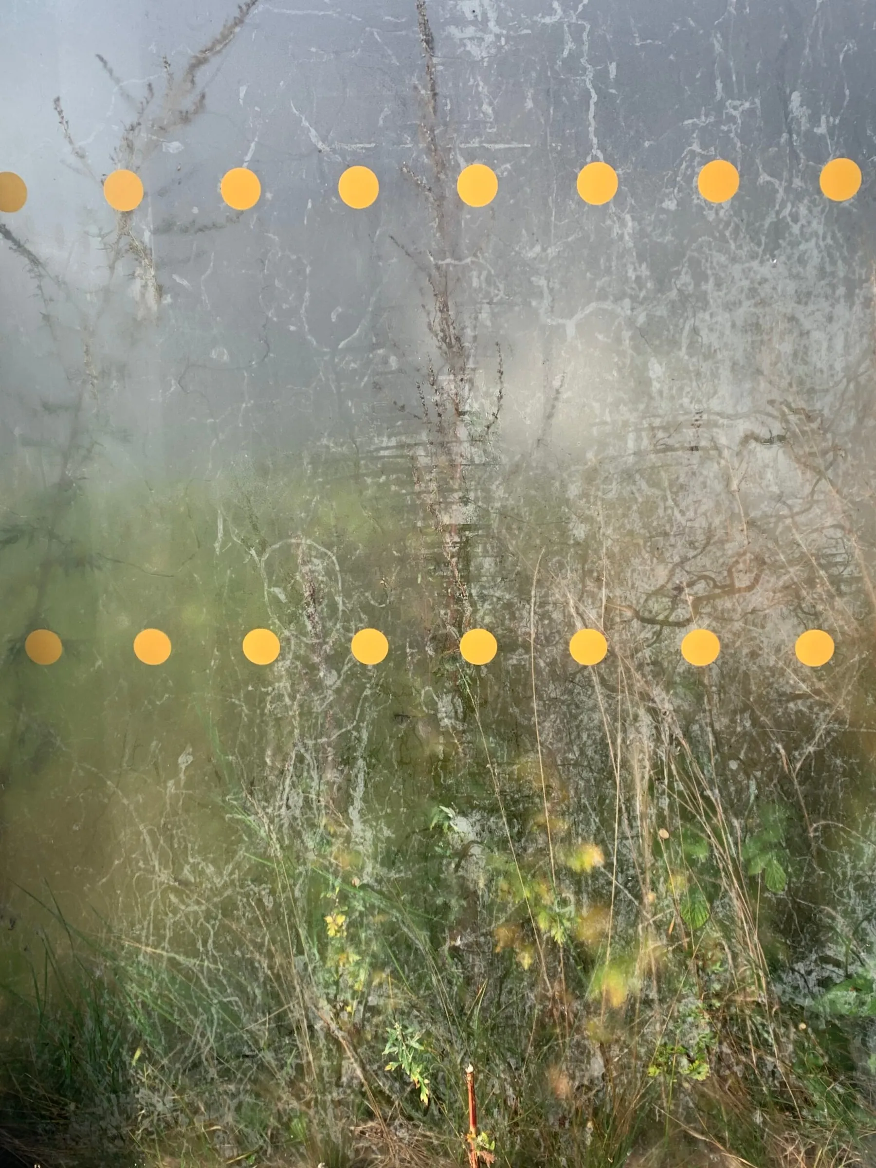 Scratched frosted glass with two rows of orange dots, with weeds and grass visible behind